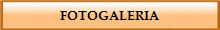 FOTOGALERIA